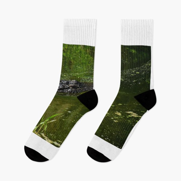 Item preview, Alligator Biting A Fish designed and sold by MercerImages.