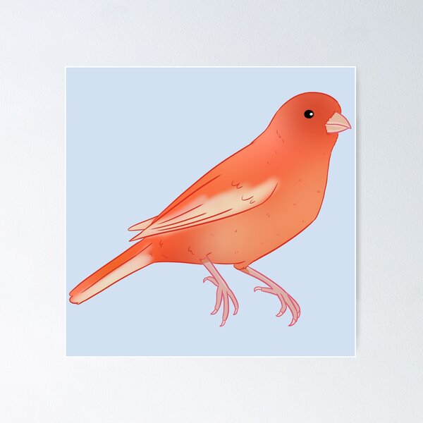Item preview, Red factor canary illustration  designed and sold by Yaragold.