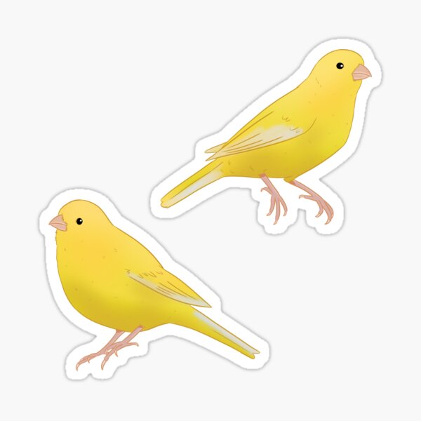 Item preview, Yellow canary bird illustration  designed and sold by Yaragold.
