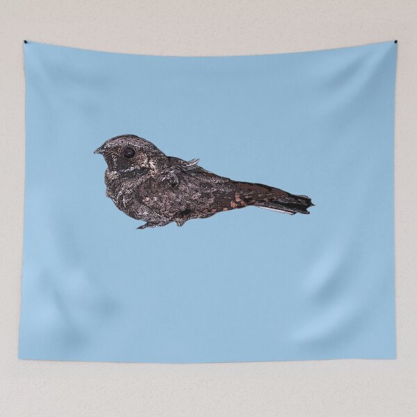 Item preview, Eastern Whip-poor-will Color Design  designed and sold by designsasstultd.