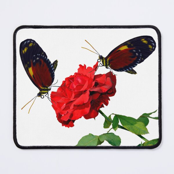 Item preview, 2 Tiger longwing butterflies pollinating a rose flower designed and sold by Peter Etchells.