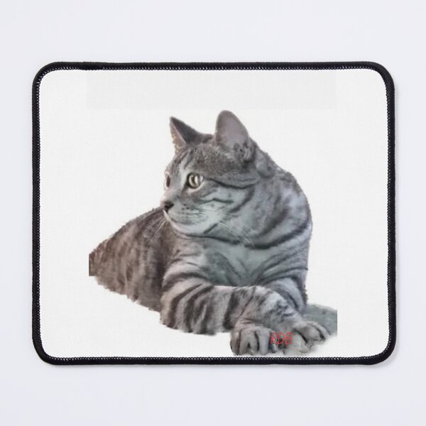 Item preview, BabyBoy knows his authority  designed and sold by ricky dean beck.