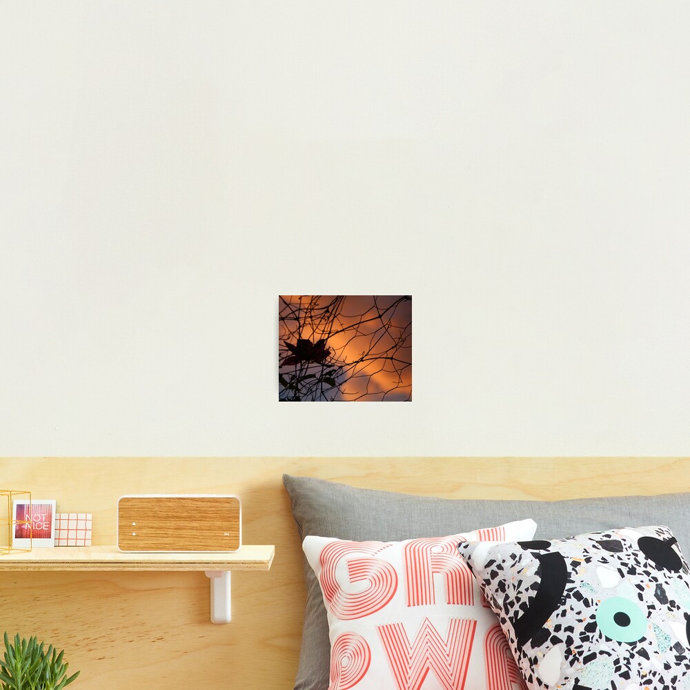 Item preview, Photographic Print designed and sold by echoexpression.