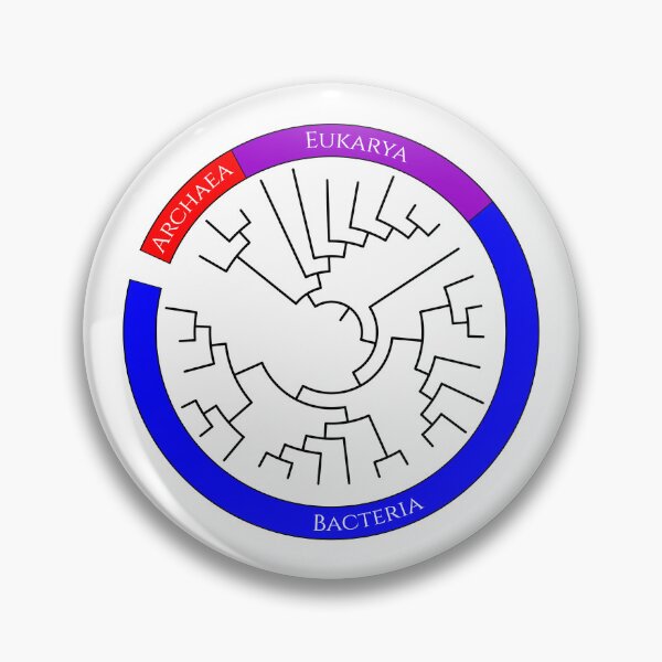 Item preview, Circular Tree of Life designed and sold by Biology Simulations.