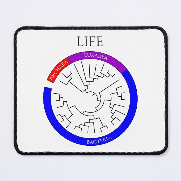 Item preview, Circular Tree of Life designed and sold by Biology Simulations.