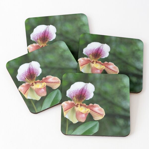 Item preview, Lady Slipper Orchid  designed and sold by Ruth Jolly.