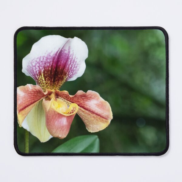 Item preview, Lady Slipper Orchid designed and sold by Ruth Jolly.