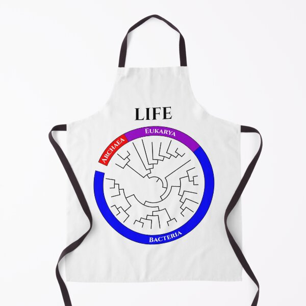 Item preview, Circular Tree of Life designed and sold by Biology Simulations.