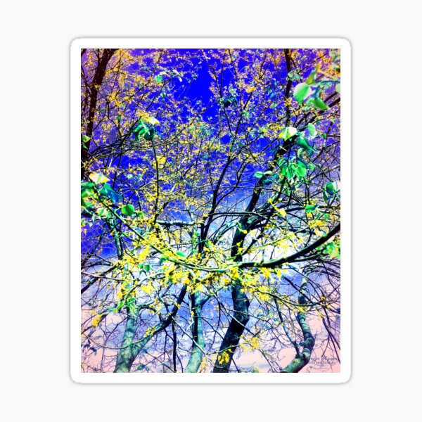 Item preview, Summer Trees In Winter designed and sold by RiverDeeDesigns.