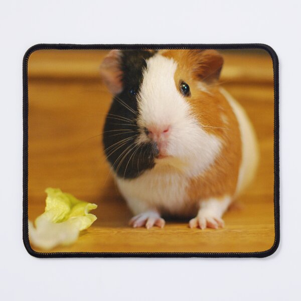 Item preview, Whinnie the Guinea Pig designed and sold by LJarts.