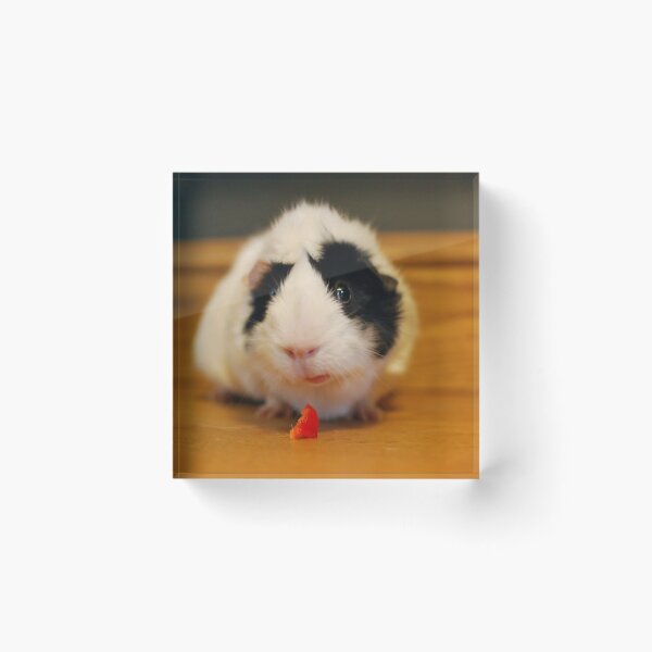 Item preview, Percy the Pig designed and sold by LJarts.