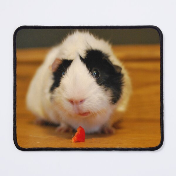 Item preview, Percy the Pig designed and sold by LJarts.
