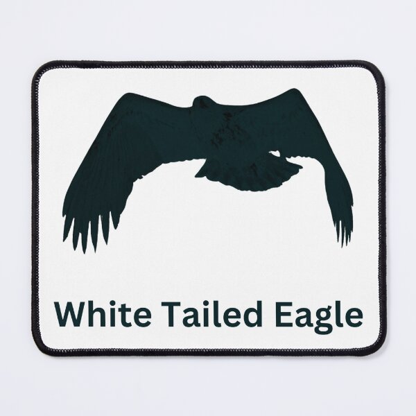 Item preview, White Tailed Eagle Silhouette designed and sold by Leisure-Arts.