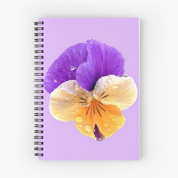 Artikelvorschau, Viola auf Lavendel entworfen und verkauft von RivehArt.