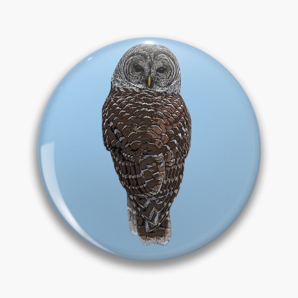 Item preview, Barred Owl Color Design  designed and sold by designsasstultd.