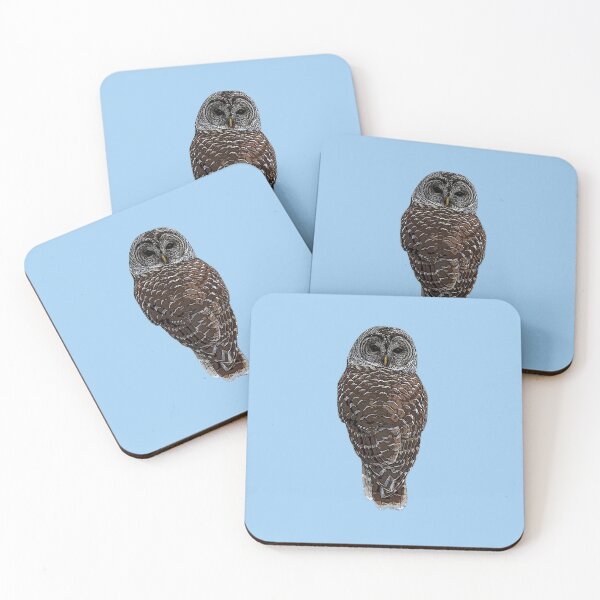 Item preview, Barred Owl Color Design  designed and sold by designsasstultd.