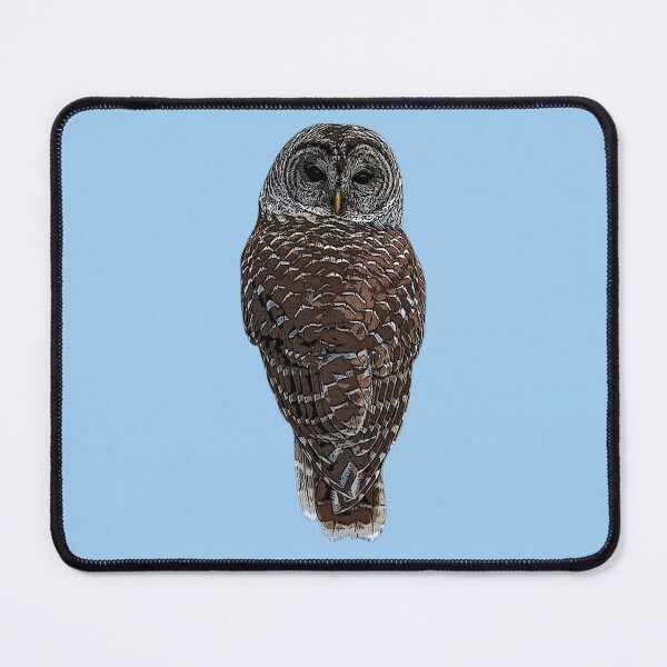 Item preview, Barred Owl Color Design designed and sold by designsasstultd.