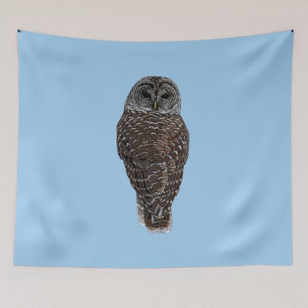 Item preview, Barred Owl Color Design  designed and sold by designsasstultd.