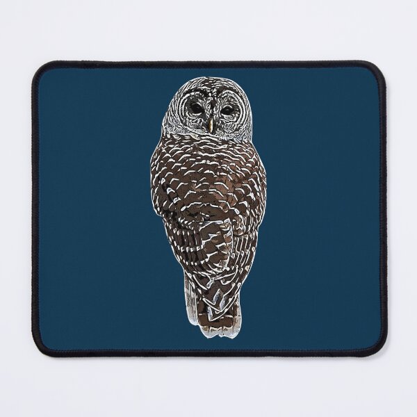 Item preview, Barred Owl White Alternate Design  designed and sold by designsasstultd.