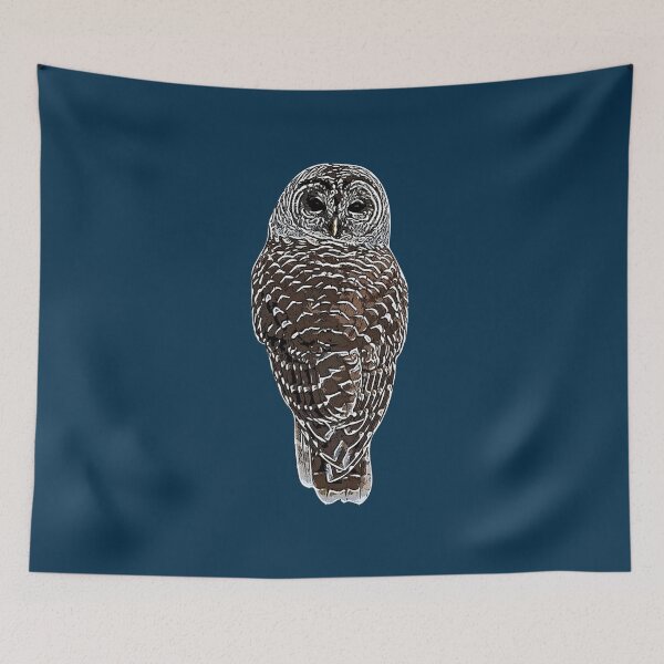 Item preview, Barred Owl White Alternate Design  designed and sold by designsasstultd.
