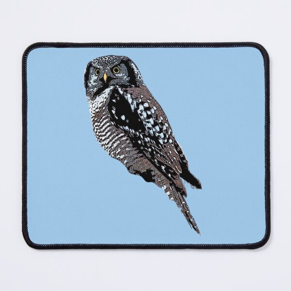 Item preview, Northern Hawk Owl Color Design designed and sold by designsasstultd.