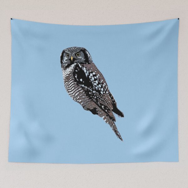 Item preview, Northern Hawk Owl Color Design  designed and sold by designsasstultd.