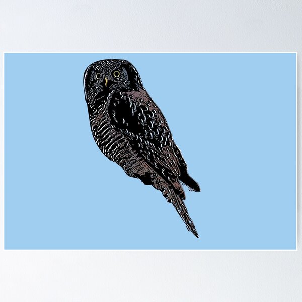 Item preview, Northern Hawk Owl Black Alternate Design  designed and sold by designsasstultd.
