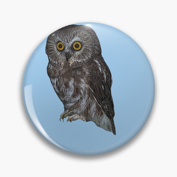 Item preview, Northern Saw-Whet Owl Color Design  designed and sold by designsasstultd.