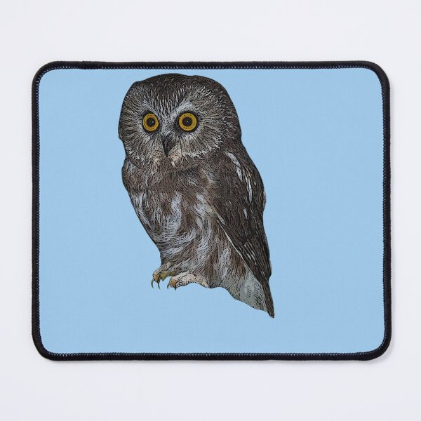 Item preview, Northern Saw-Whet Owl Color Design designed and sold by designsasstultd.