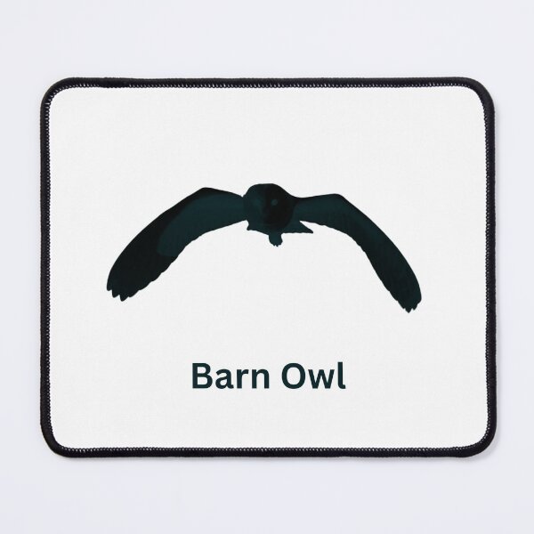 Item preview, Barn Owl Silhouette designed and sold by Leisure-Arts.