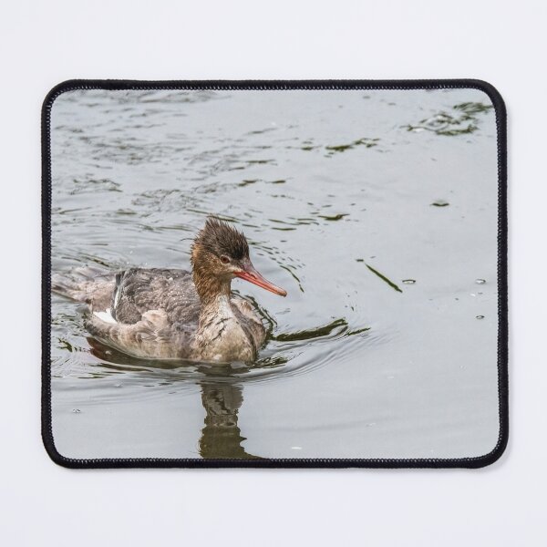Item preview, Merganser Resurfaces From Dive designed and sold by Debra Martz.