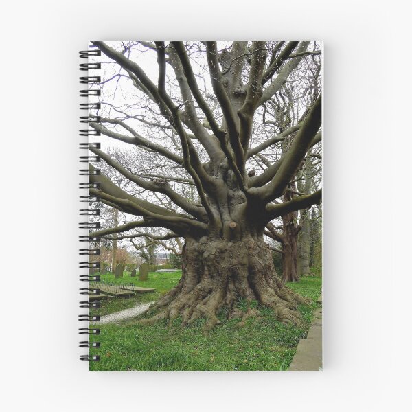 Item preview, The giant tree designed and sold by jchanders.