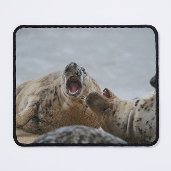 Item preview, Seal Fight designed and sold by LJarts.