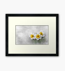 Daffodils Framed Print