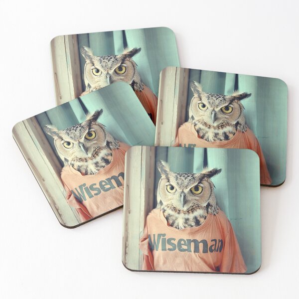 Item preview, Wiseman: The Enigmatic Long Eared Owl designed and sold by Brendon987.
