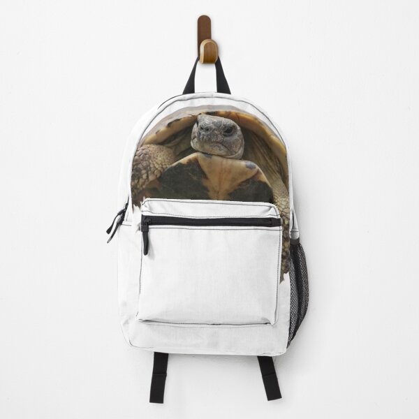 Item preview, tortoise designed and sold by Sabinedav.