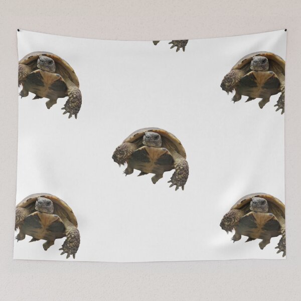 Item preview, tortoise designed and sold by Sabinedav.
