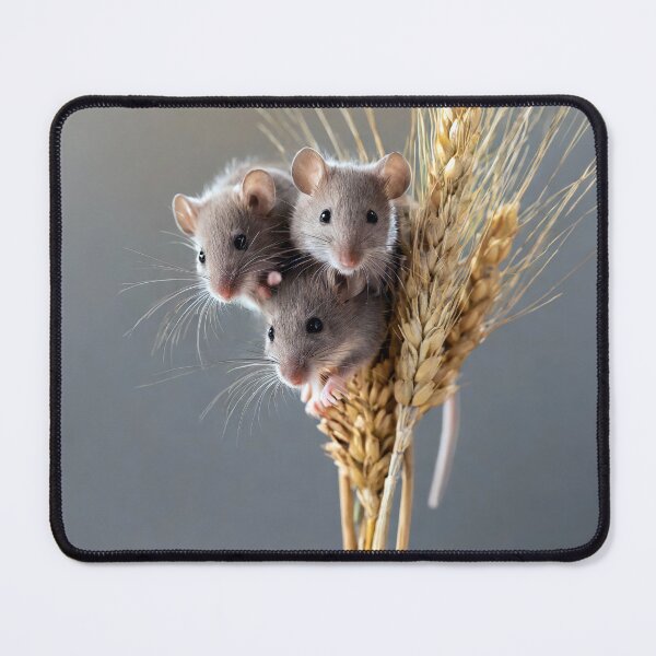 Item preview, Harvest Mice designed and sold by Tom McPherson Photography.