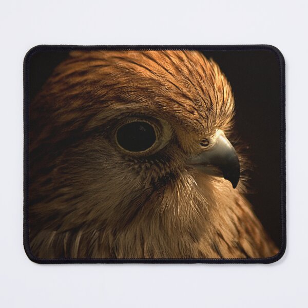 Item preview, Kestrel Portrait designed and sold by JMChown.