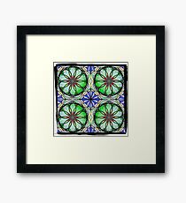 ZS Zenta 010A© Framed Print
