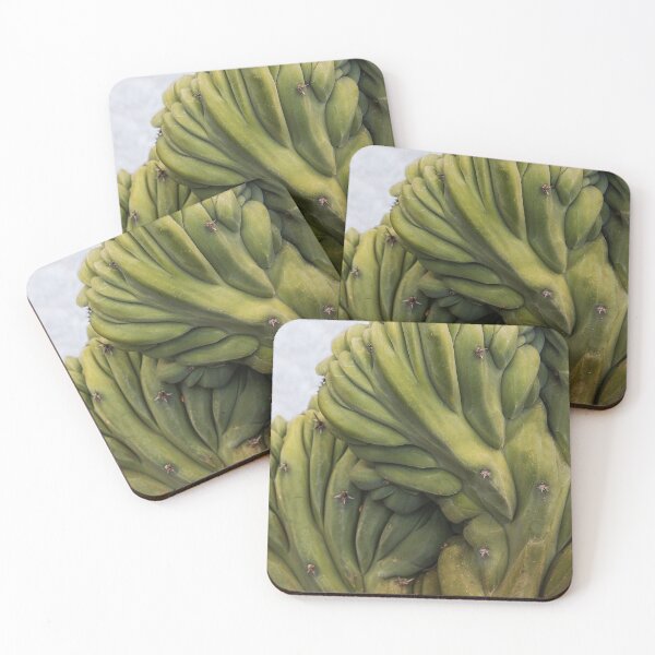 Item preview, Nature's Art "Lumpy and Prickly" designed and sold by heatherfriedman.
