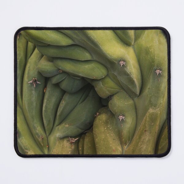 Item preview, Nature's Art "Lumpy and Prickly" designed and sold by heatherfriedman.