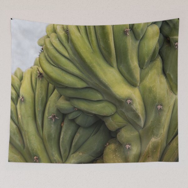 Item preview, Nature's Art "Lumpy and Prickly" designed and sold by heatherfriedman.