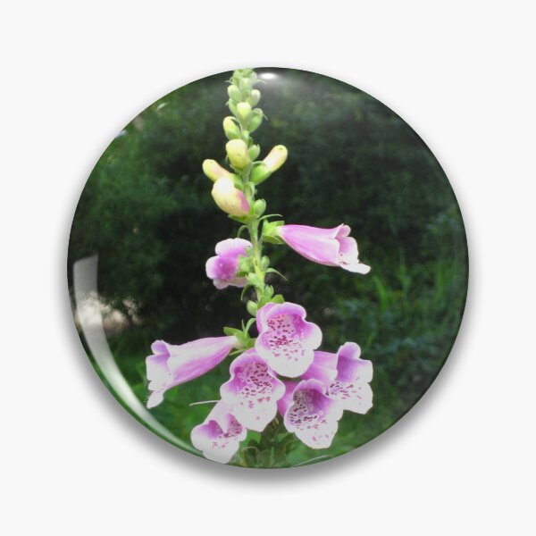 Item preview, Dedalera: comenzando a florecer designed and sold by JoyousArt4u.