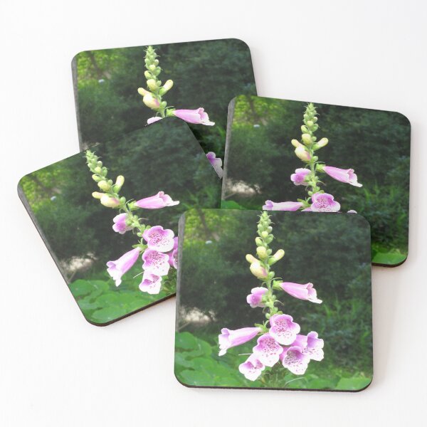 Item preview, Dedalera: comenzando a florecer designed and sold by JoyousArt4u.