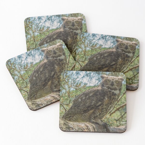 Item preview, Owl Of Magnificence  designed and sold by passion4photos.