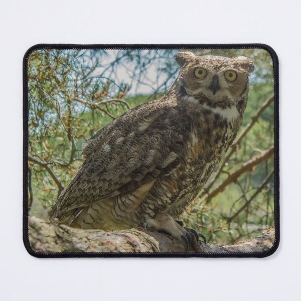 Item preview, Owl Of Magnificence designed and sold by passion4photos.