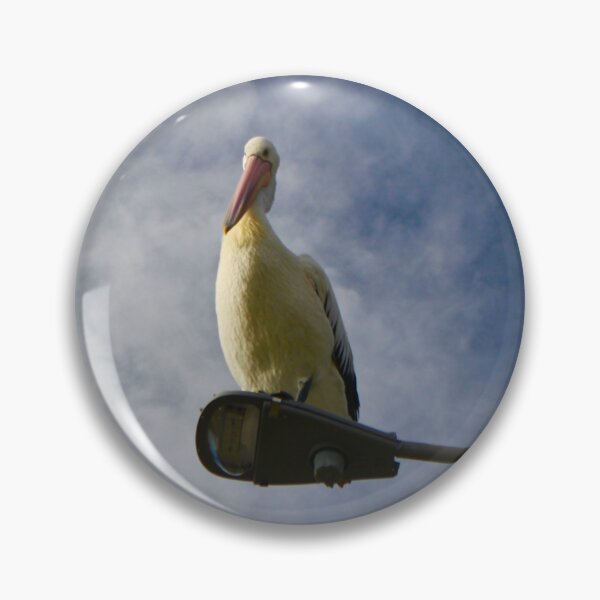 Item preview, Pelican on the Light designed and sold by Mickangelhere.