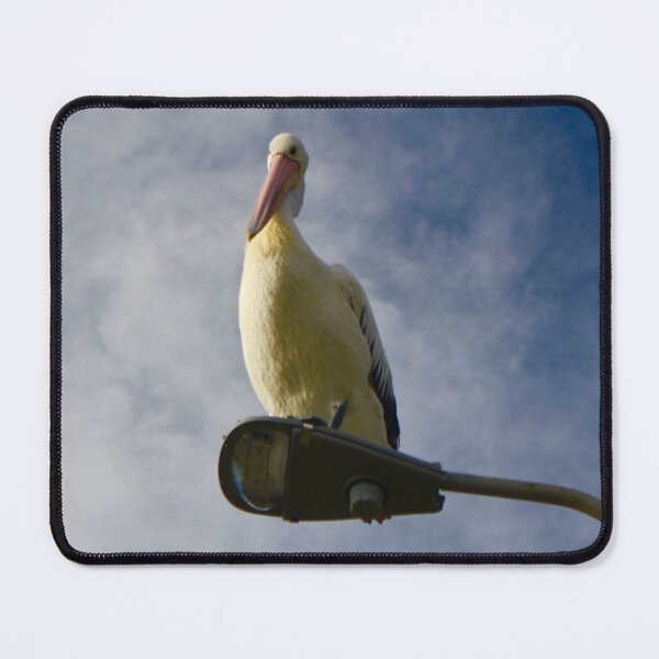Item preview, Pelican on the Light designed and sold by Mickangelhere.