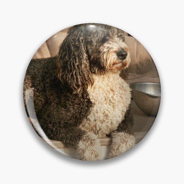 Artikelvorschau, Tier - Hund - geduldig mit einem flauschigen Begleiter scharrend entworfen und verkauft von Mike Savad Photography.
